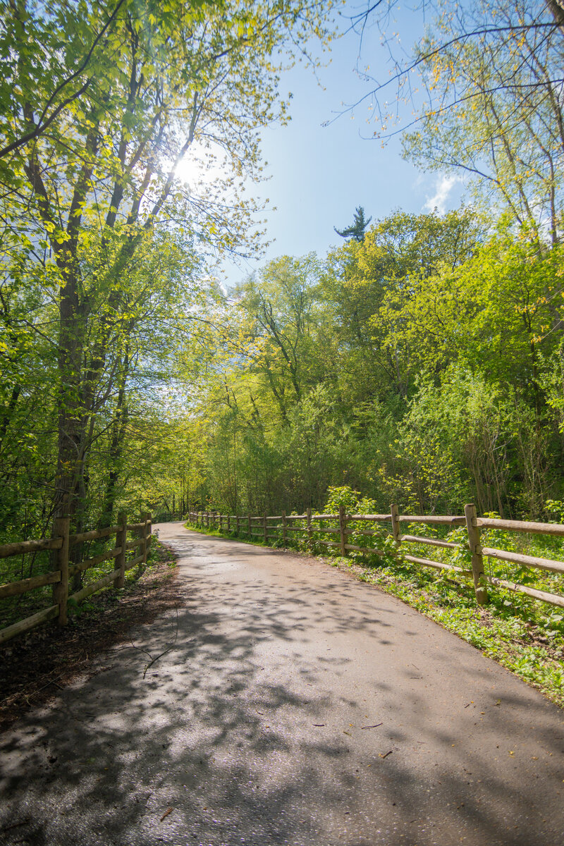 Leaside Trails