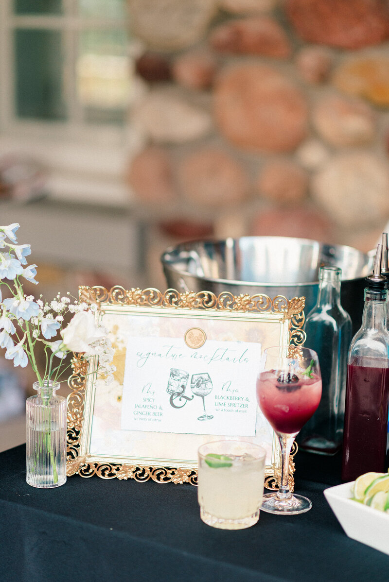 Highlands-Ranch-Mansion-Wedding-Photographer-55