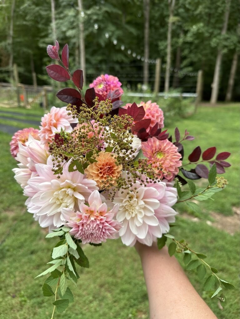 3C3FCDE4-1E1C-4ABB-815D-0859ED5F8B9F_1_105_c