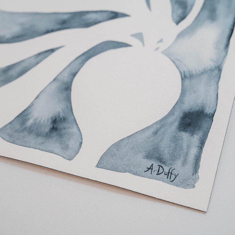 Signature of artist Amy Duffy on a kelp watercolor painting
