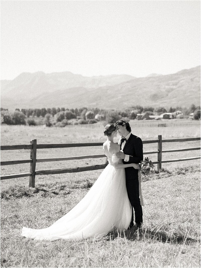 Bride and groom hugging in a field of horses