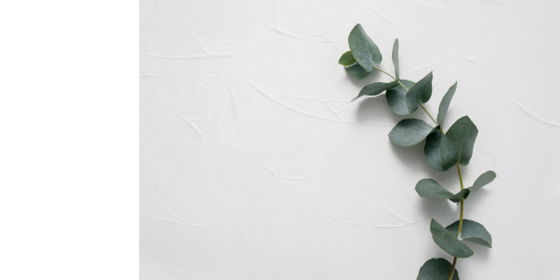 Graphiste pour thérapeute⎜Studio Calathea