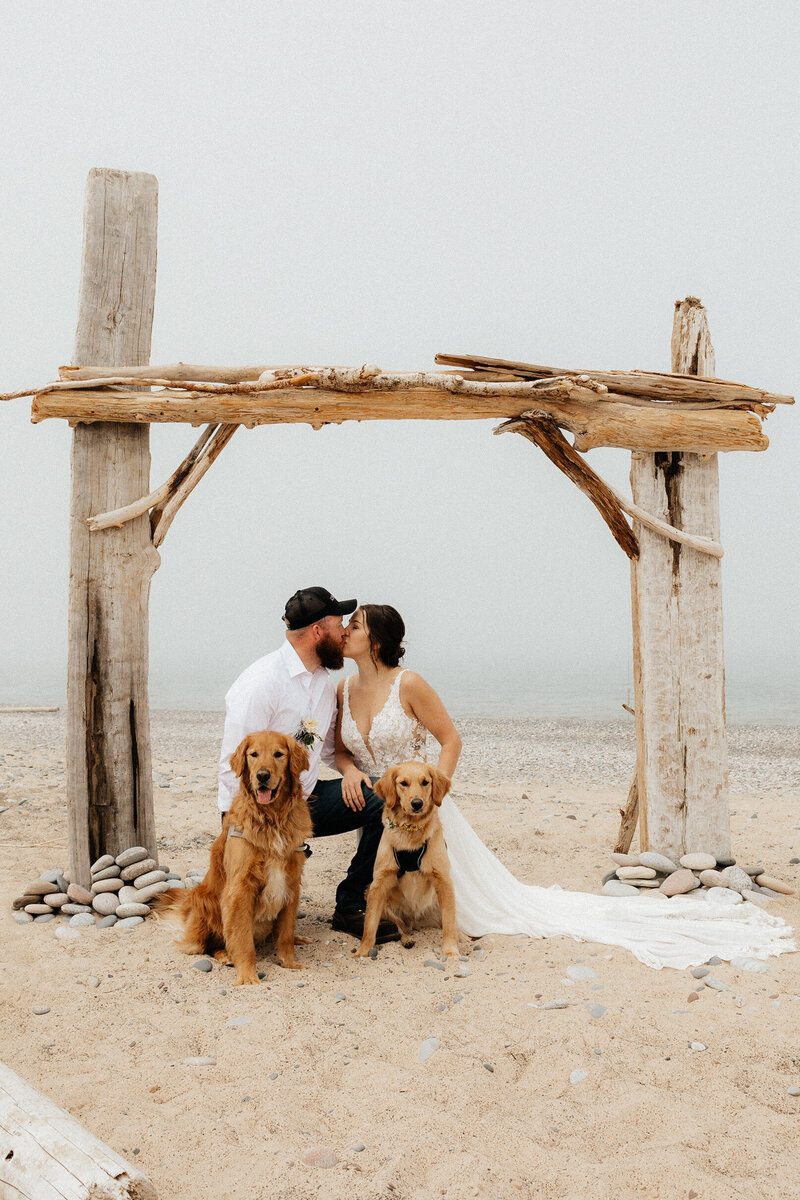 bride and groom pictures with their dog