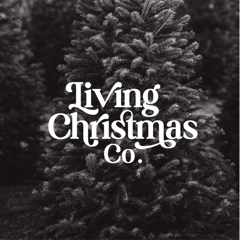 Living Christmas Working Logo-11