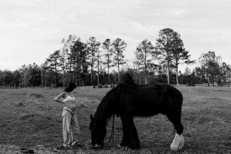 maternity session with horse