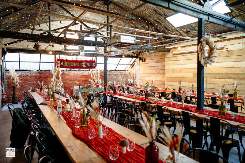 falcon-chris-0375 (1)