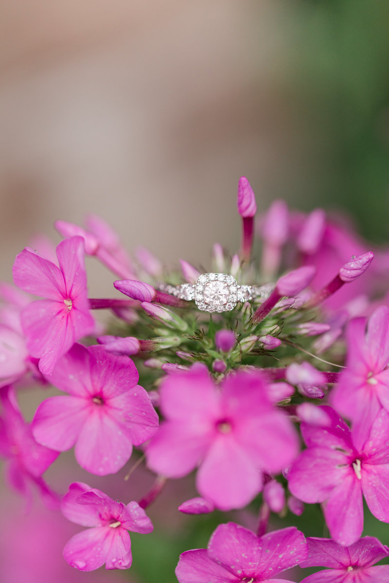 Jennifer B Photography-Downtown Southern Pines and Pinehurst Arboretum Engagement-Matthew & Amanda-2019-0083