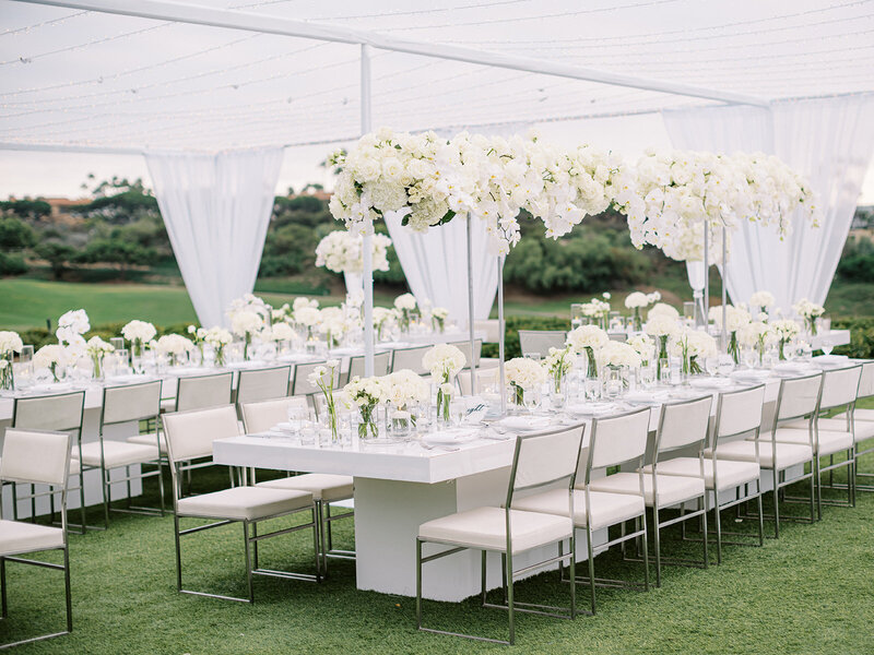 ericastreelman_jenesa and avi-48