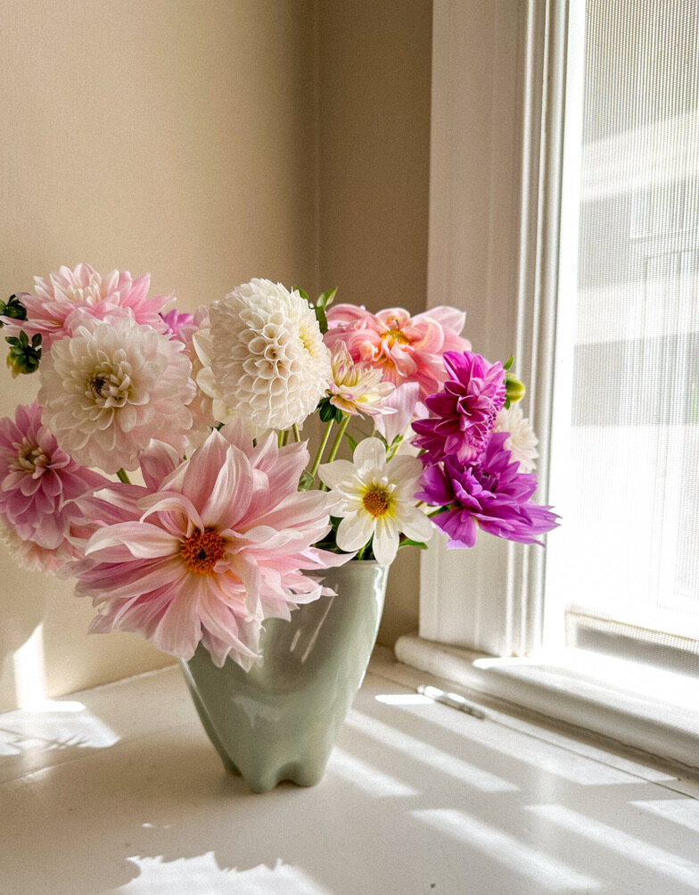 4935488E-DE08-44CD-BA96-464973A368D4_1_105_c