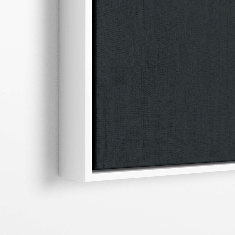 Fine Art Canvas with a white frame featuring Project Stardust micrometeorites collected and photographed by Jon Larsen and Jan Braly Kihle_Black Edit