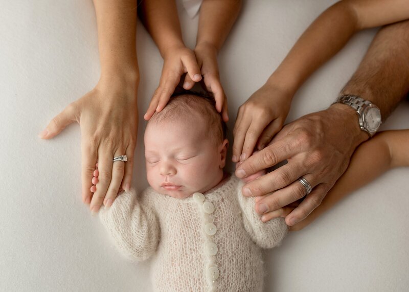 Newborn Family Hands In Portrait