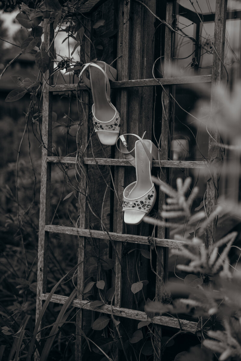 Tamar+RossTeasers-012
