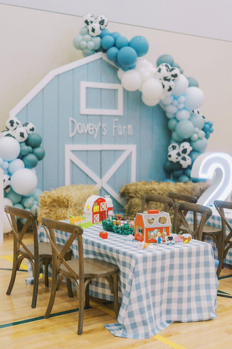 farm decoration for a two year old's birthday party
