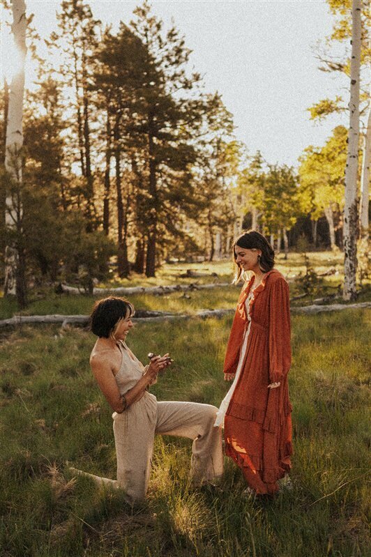 A proposal between partners occurs in Flagstaff Arizona.
