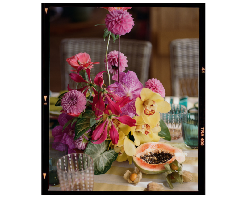 BC Film - Florals -1