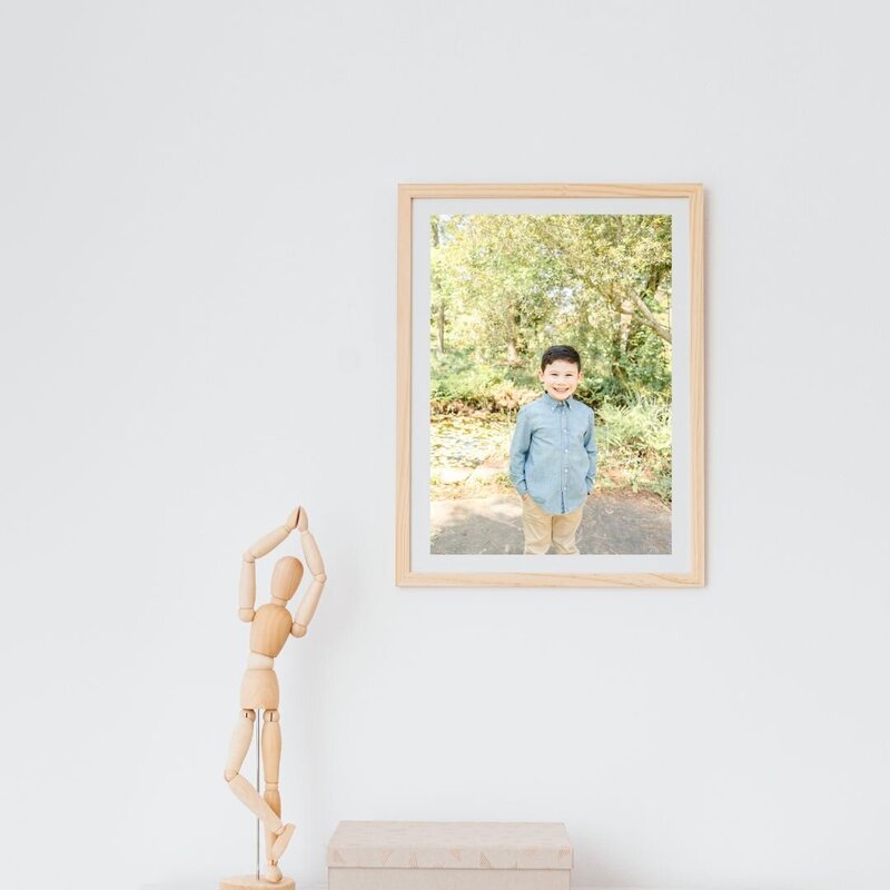 family photographer houston framed art