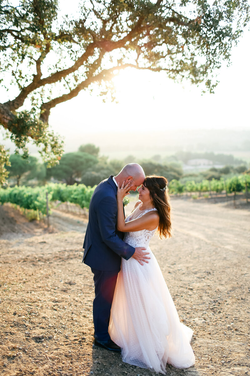 couple-embrace-in-vineyard-at-luxury-wedding-in-provence