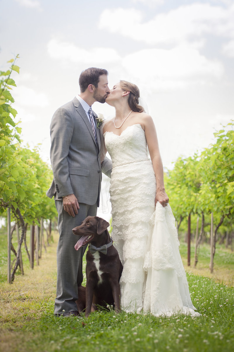 bride and groom portrait posed in winery