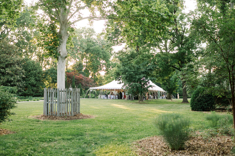 Jared & Caroline Wedding-1224