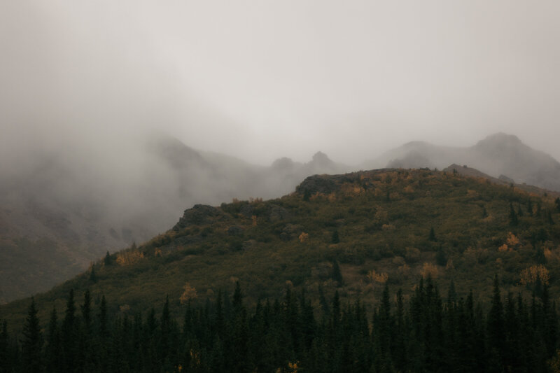 Nostalgica film imagery used for Larks Atelier, an Alaska-based showit website designer