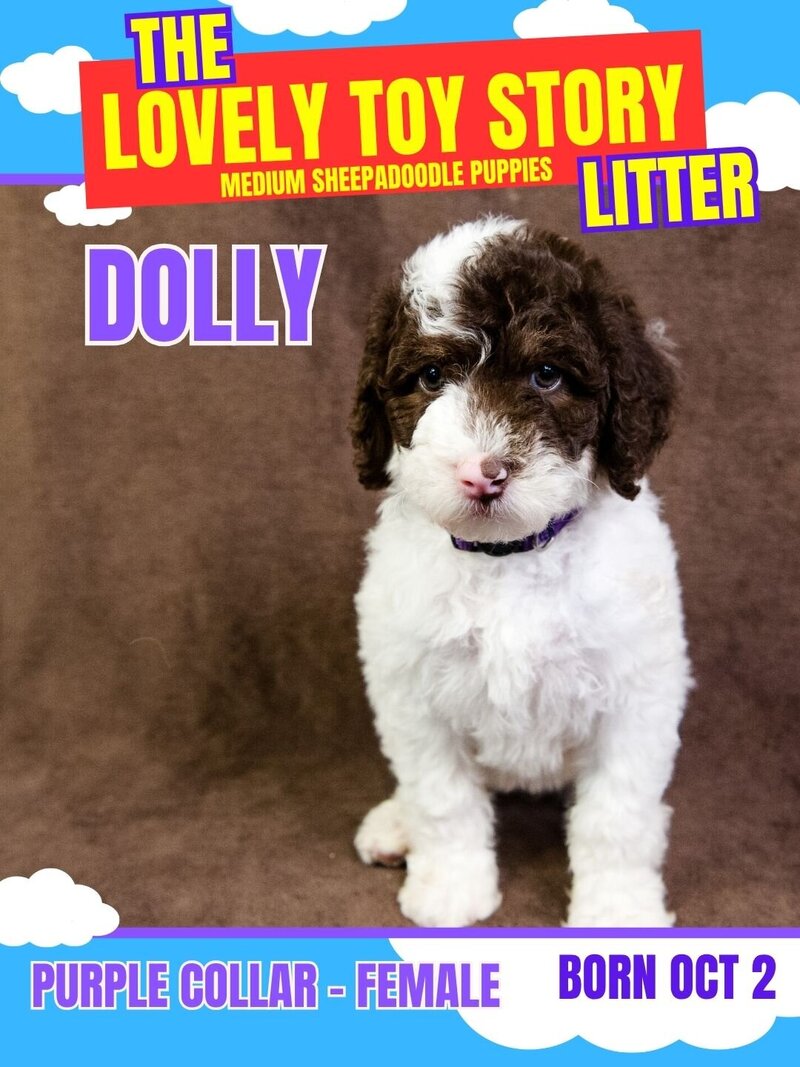 Toy Story - Purple Dolly Female