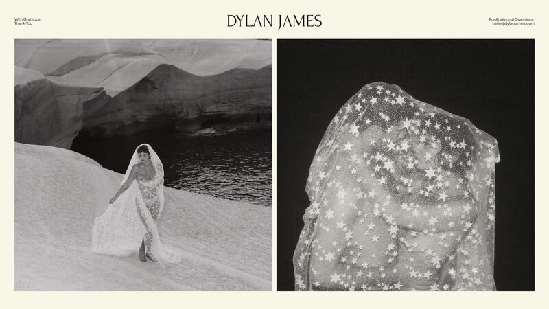 dylan james pricing guide mockup