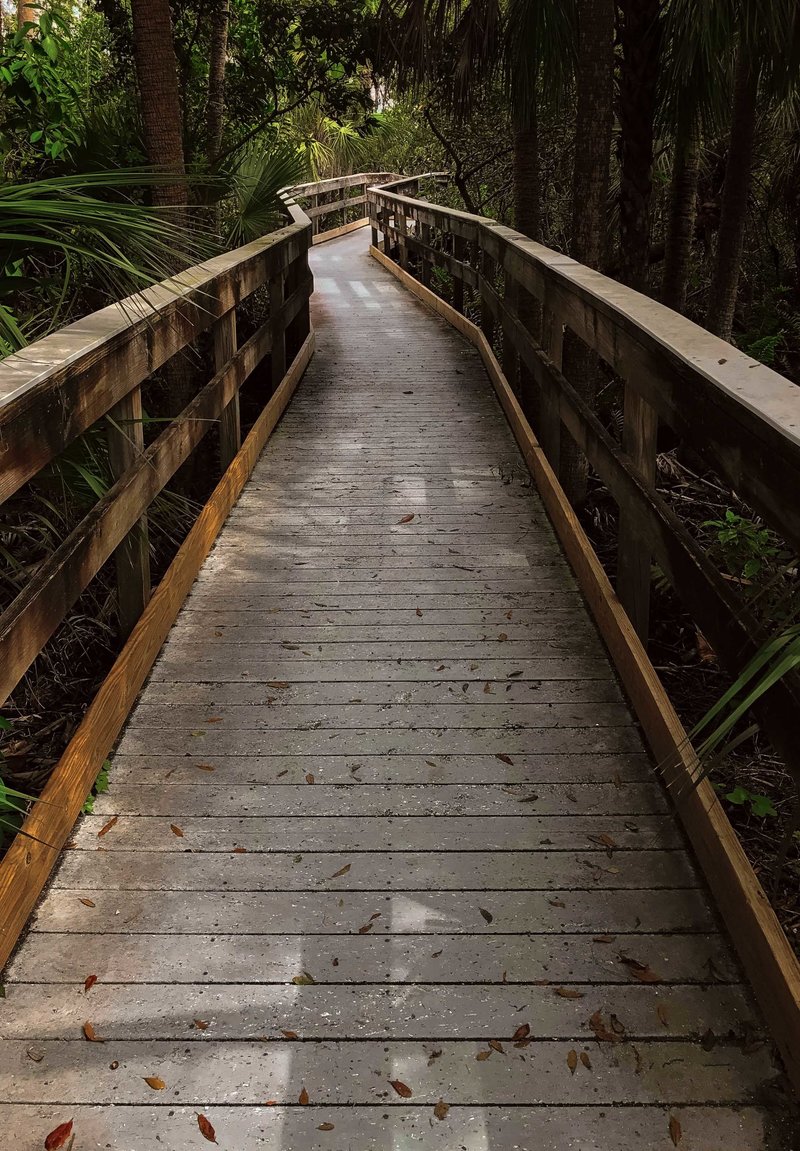This is a path or boardwalk in a park or beach in Fort Myers Florida