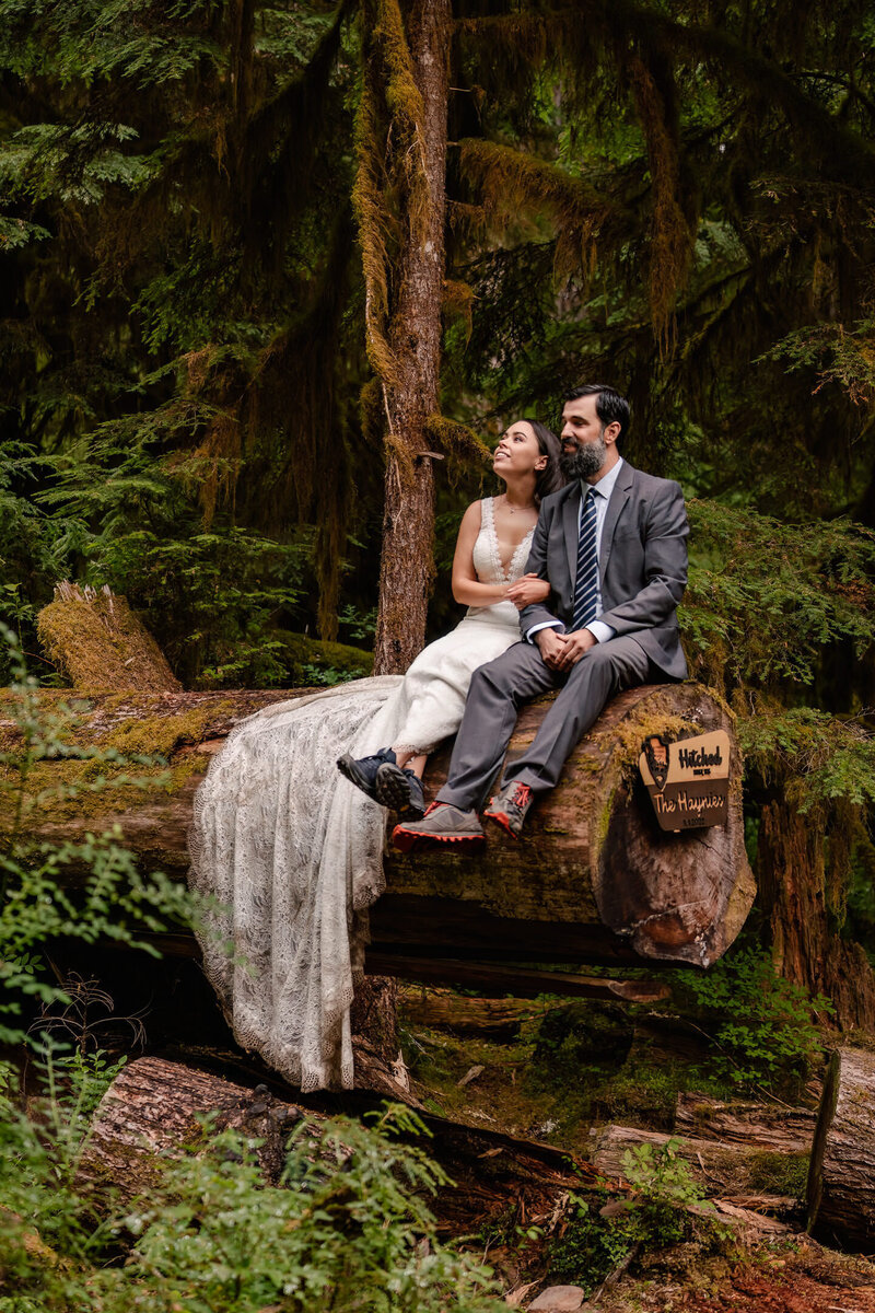 A couple sits on a fallen log gazing up at the canopy during their olympic national park elopement