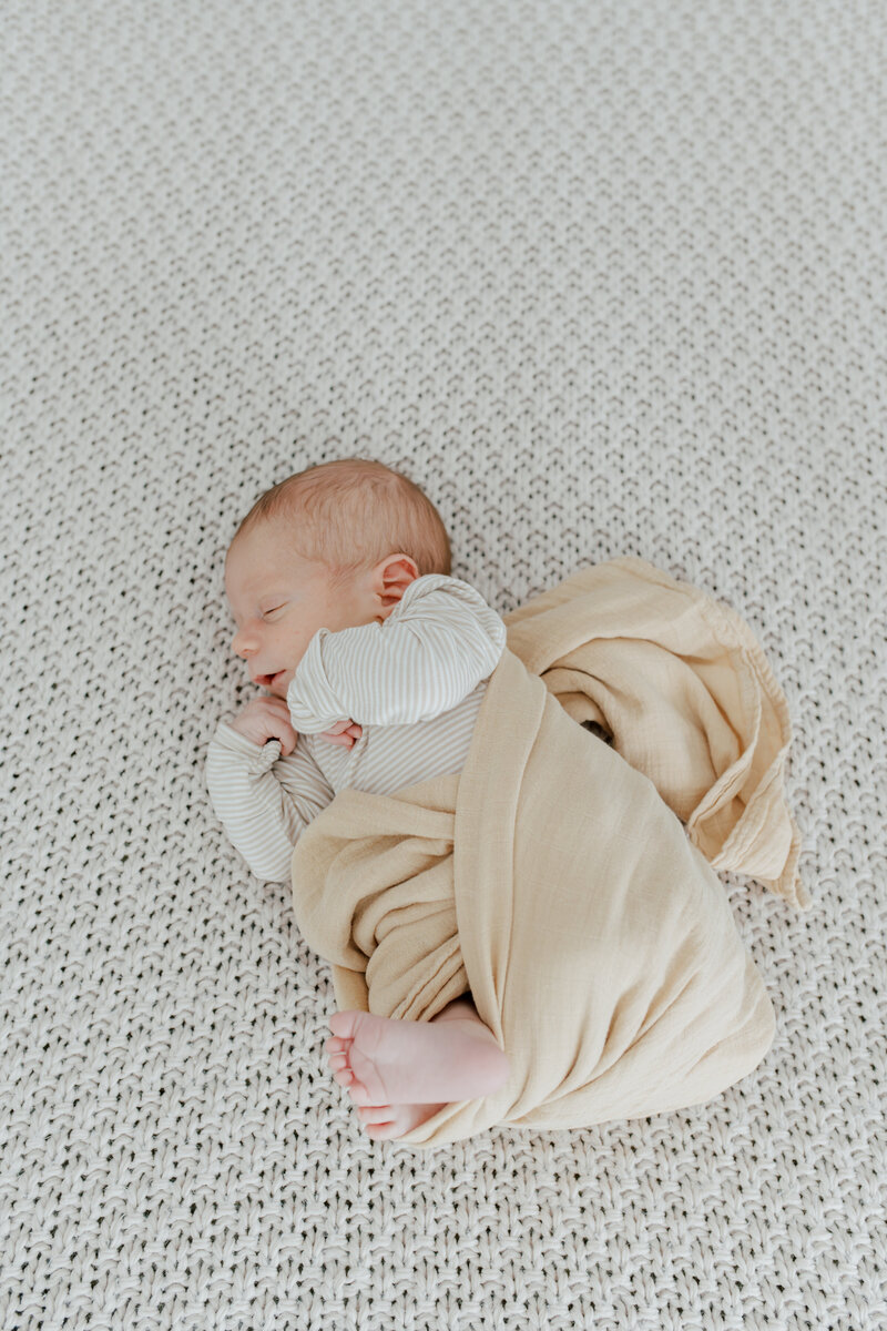 Newborn portrait