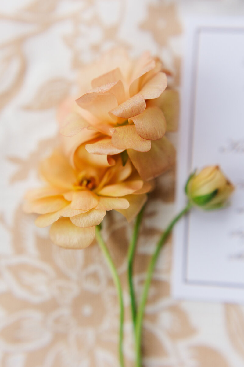 paffordwedding_preceremony4