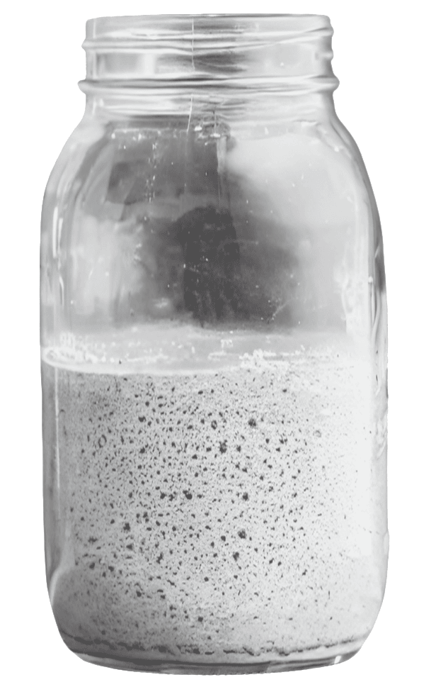 jar of sourdough starter