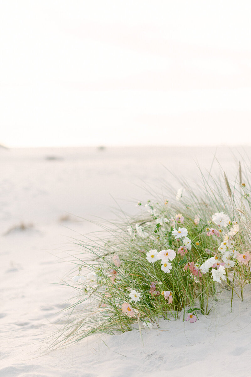 beachwebsite-06