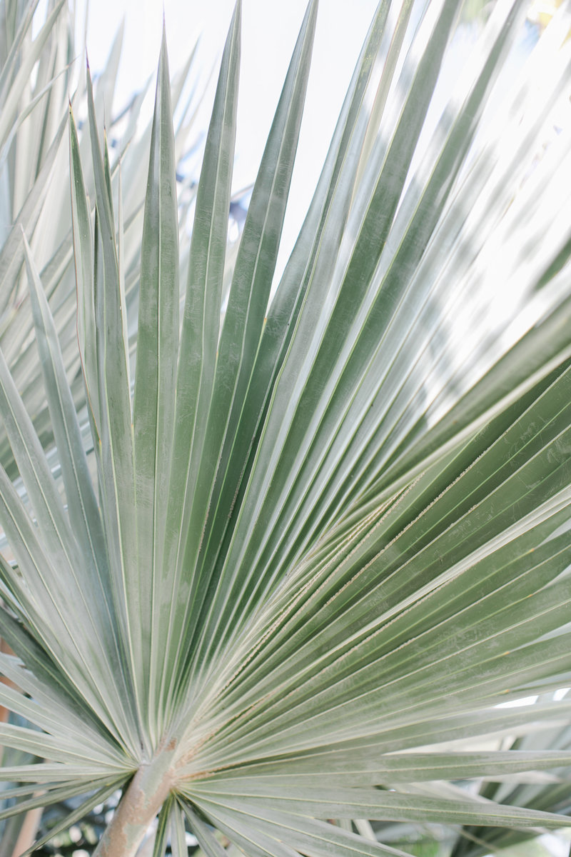 Tulum Wedding by Virginia and Destination Wedding Photographer Elizabeth Friske Photography-4