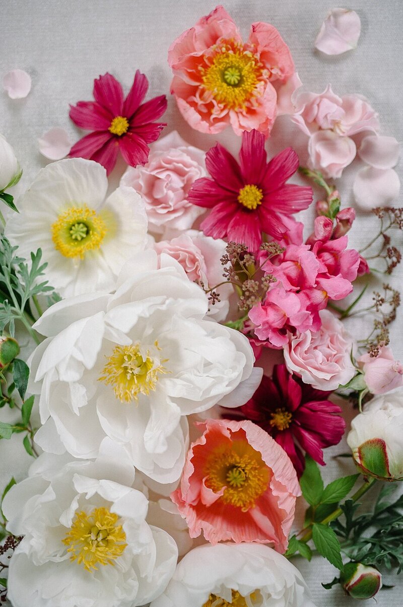 Sera Petras Photography_Anna+Josh_w-1182