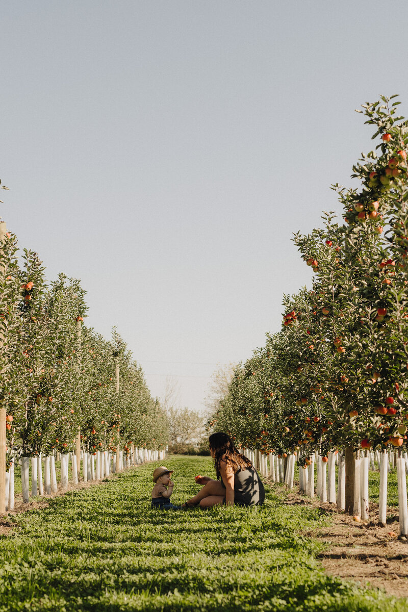 Looking down a row at the orchard, mother and young son pose sitting on the grass eating freshly picked apples.
