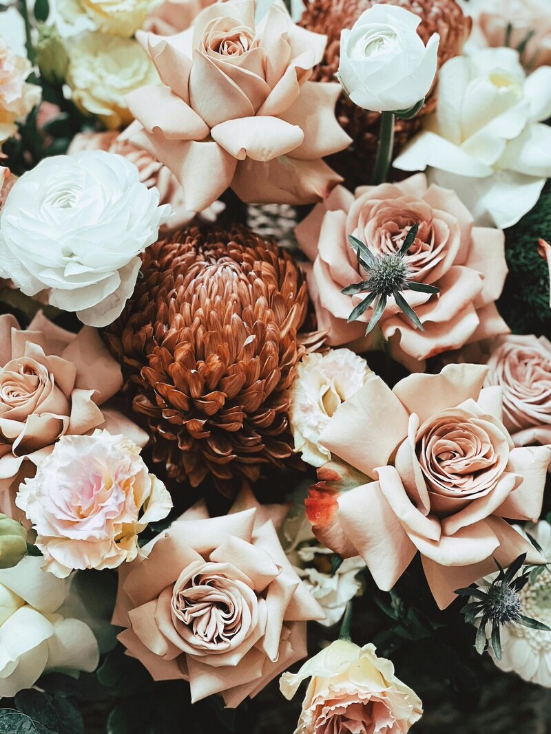 dusty pink flowers