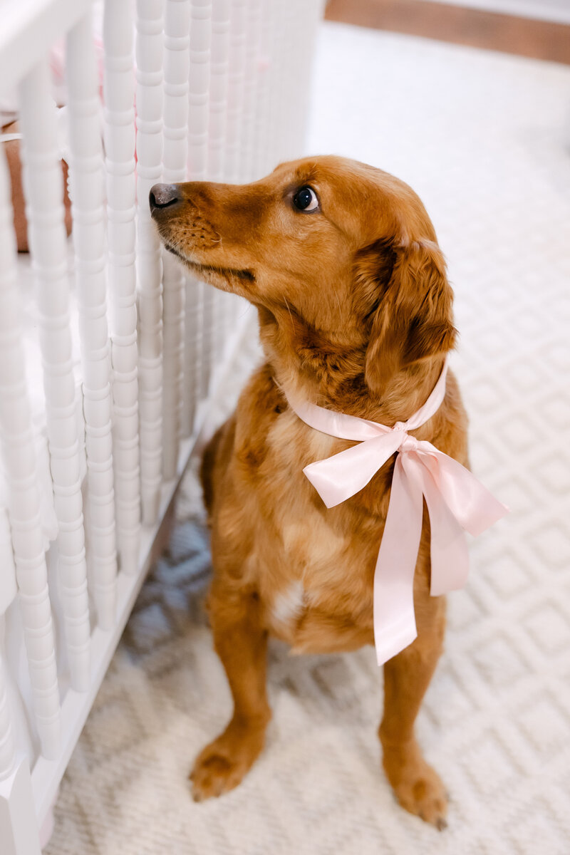 kelsee-risler-photography-new-york-newborn-photographer-in-home-buffalo-sophia-plaister-newborn-117