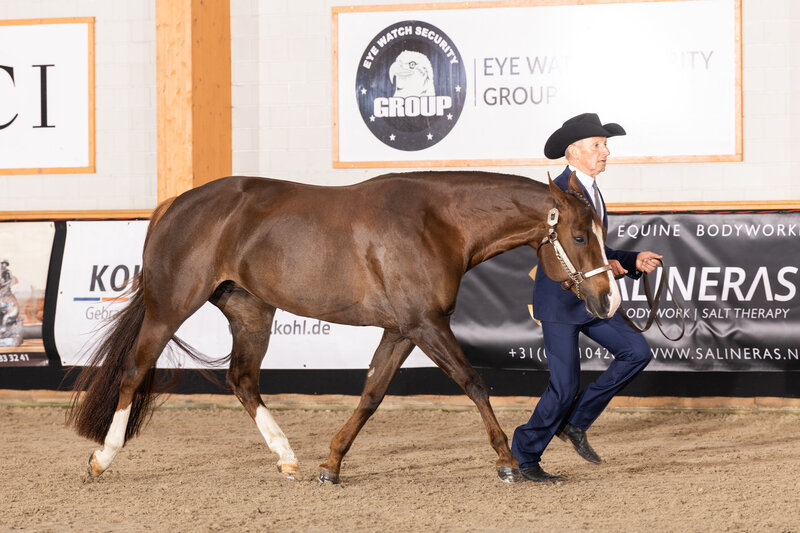 ClaudiaDermois-3001-bewerkt