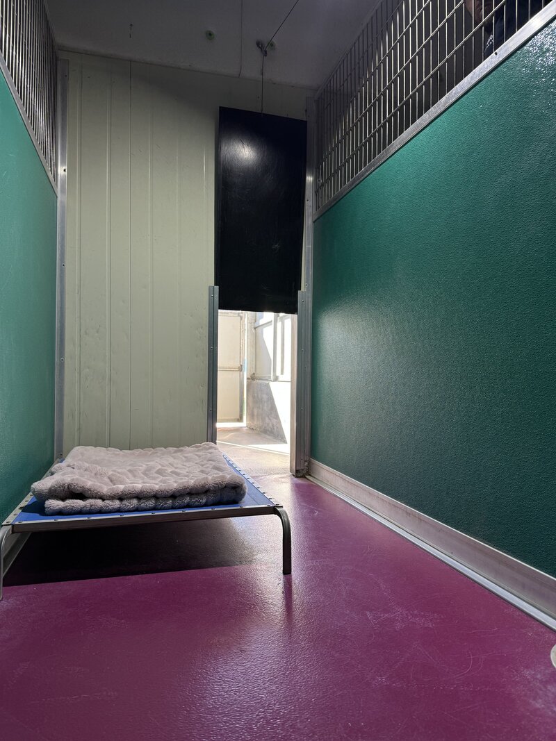 Dog Kennel Toowoomba