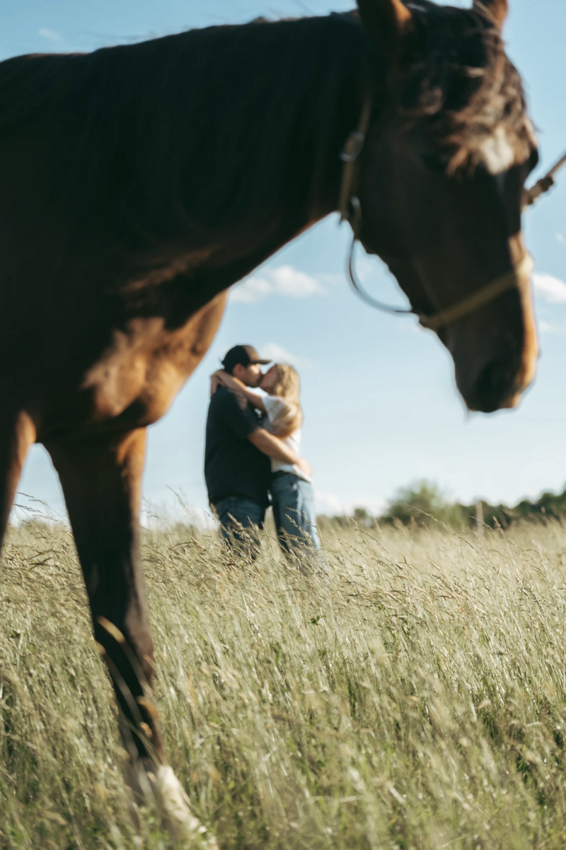Couple kissing in a Tennessee field with a horse in the foreground — romantic and rustic engagement photo by Nashville wedding photographer.