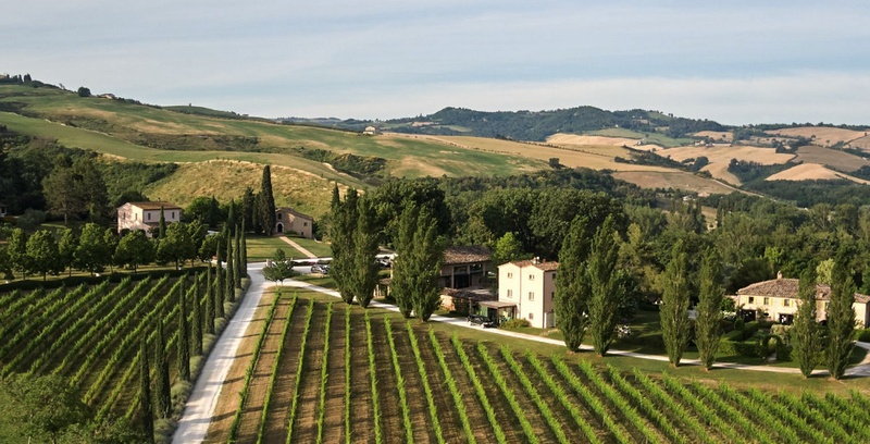 Panoramic view of the vineyards and countryside surrounding Tenuta Santi Giacomo e Filippo Wine Resort in Urbino, Italy—a serene luxury stay featured on the Wish You WERE Here Italy Tour with author Christy Schillig.