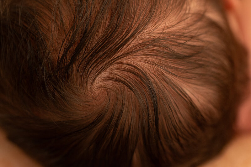 A macro close up shot of a newborn babies hair, taken during a photoshoot with Christchurch photographer Lucy Jane Photography