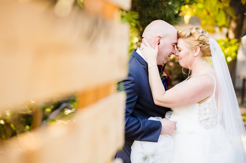 Backlit image of siblings embracing