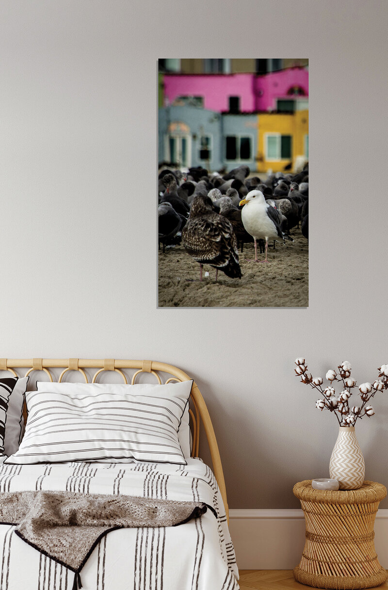 ©FredWGillaspy-SCrz-Capitola-Birds-Vert-MU-002