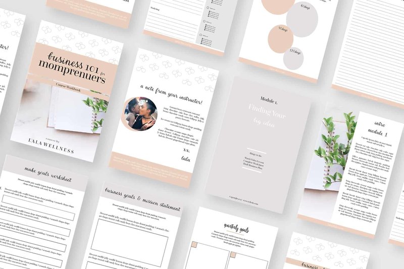Momprenuer Opt In Template For Canva Or Indesign Vanessa Ryan Momprenuer Opt In Template For Canva Or Indesign