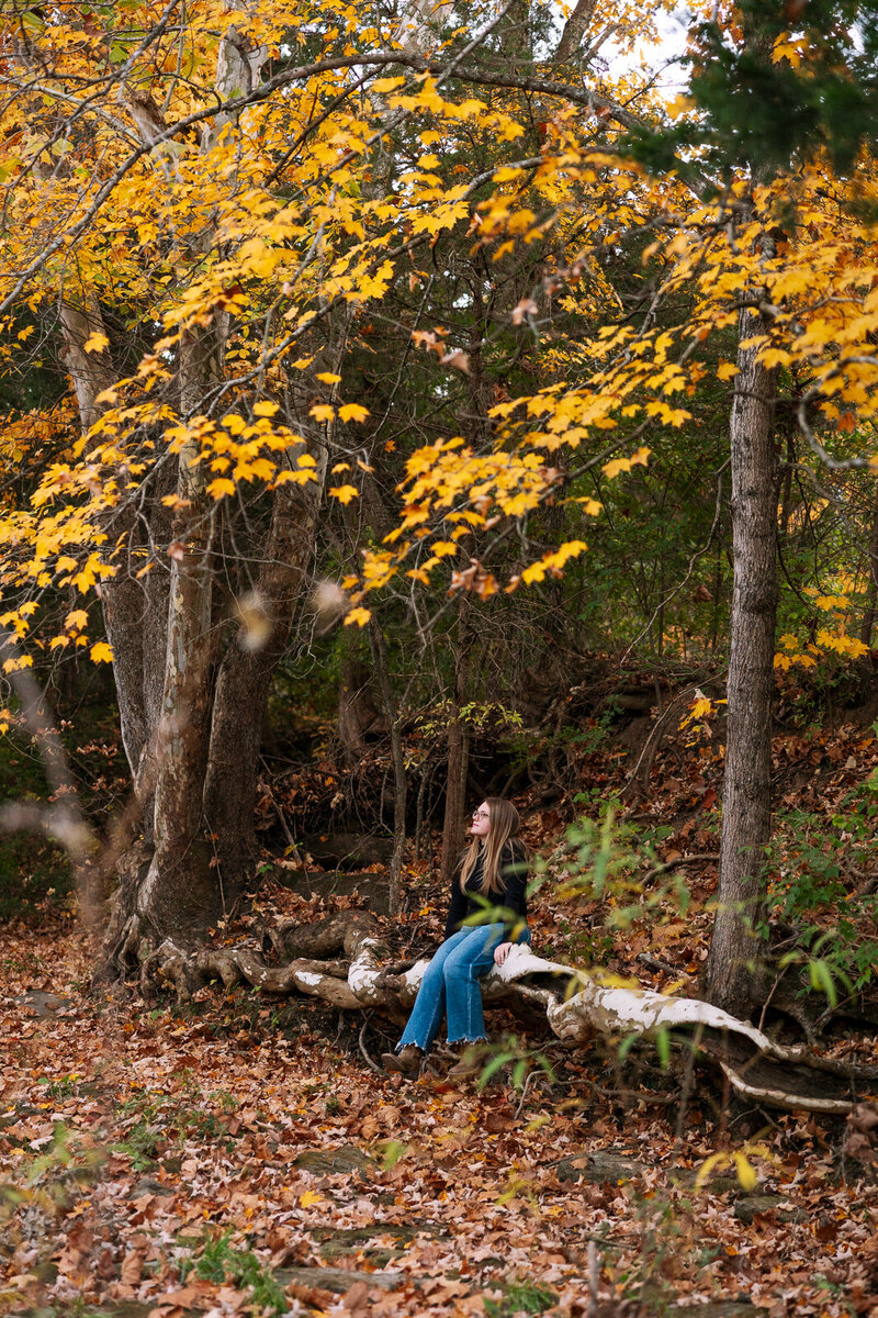 Senior girl sitting on a log in the woods during fall with vibrant fall colors and leaves. 