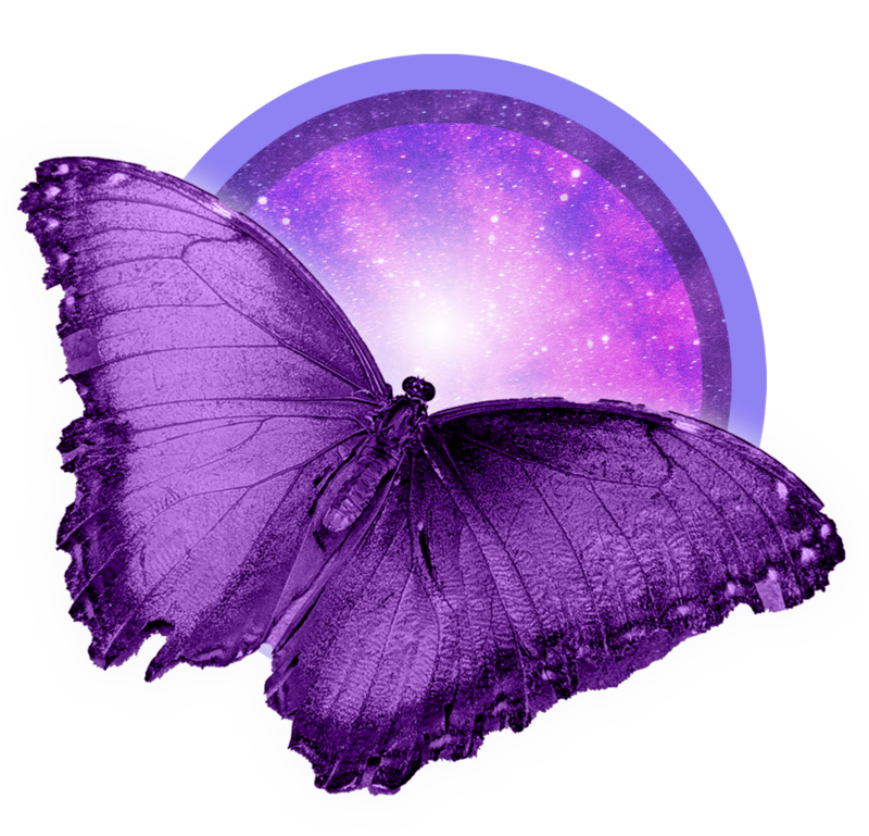 Glowing purple butterfly or moth Representing Animal Communication Course
