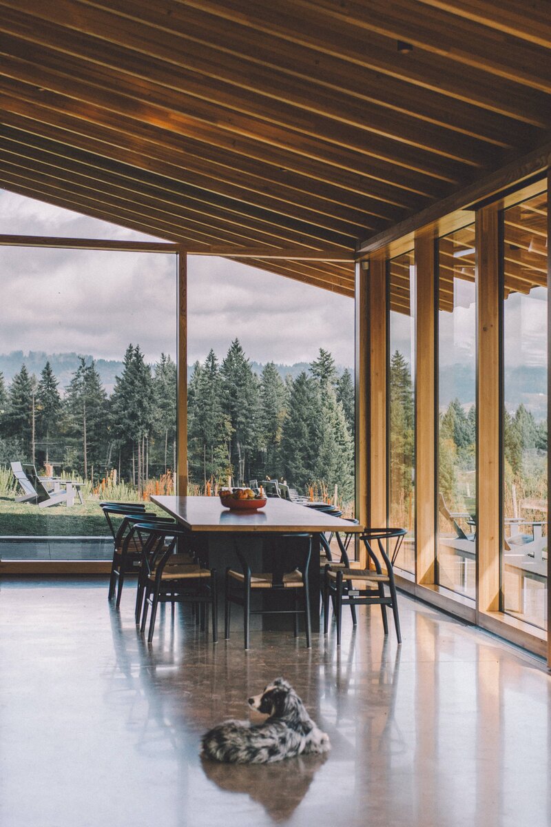 Beautiful modern dining room with floor to ceiling windows looking out onto nature