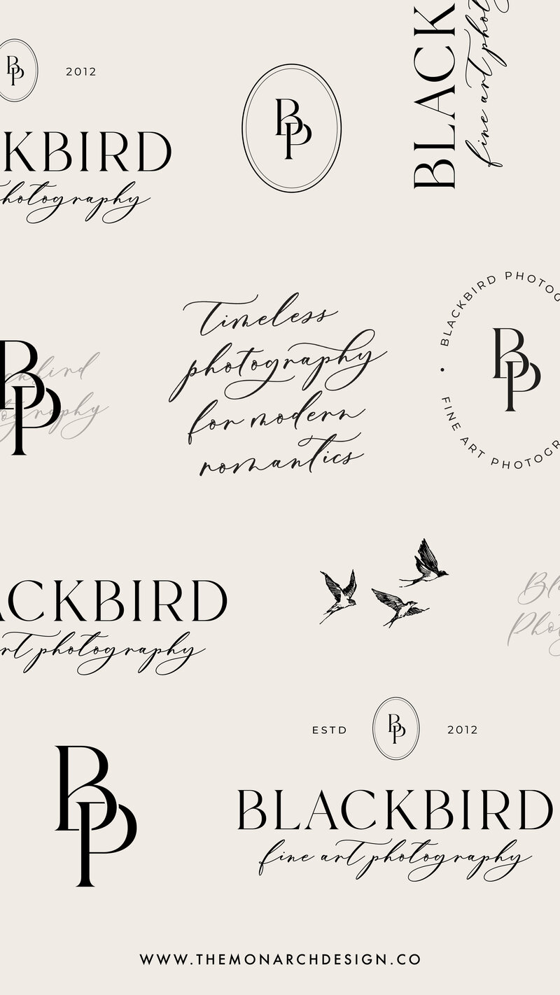 Blackbird-photography-social media - stories3