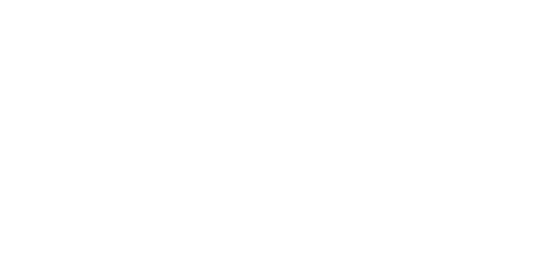 Develope Academy primary logo